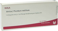 ARNICA/PLUMBUM mellitum Ampullen