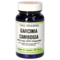 GARCINIA CAMBOGIA 400 mg GPH Kapseln