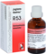 JUGLANS-GASTREU R53 Mischung