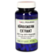KÜRBISKERN EXTRAKT 450 mg GPH Kapseln