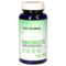 MARIENDISTEL 500 mg vegan GPH Kapseln