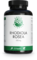 GREEN NATURALS Rhodiola Rosea 500 mg hochdos.Kaps.
